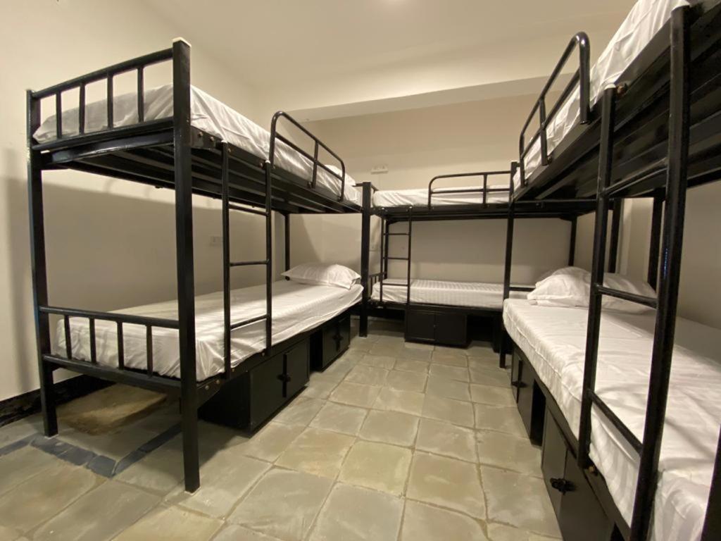 Bed in 6-Bed Mixed Dormitory Room